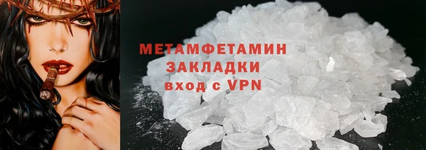 ПСИЛОЦИБИНОВЫЕ ГРИБЫ Вяземский