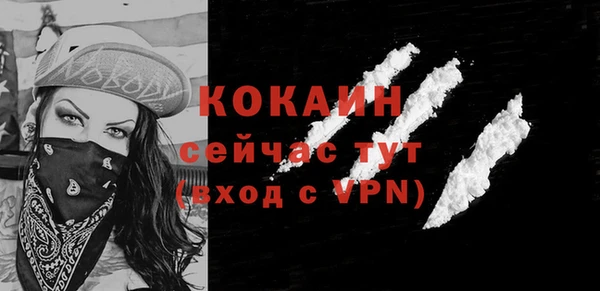 ПСИЛОЦИБИНОВЫЕ ГРИБЫ Вяземский