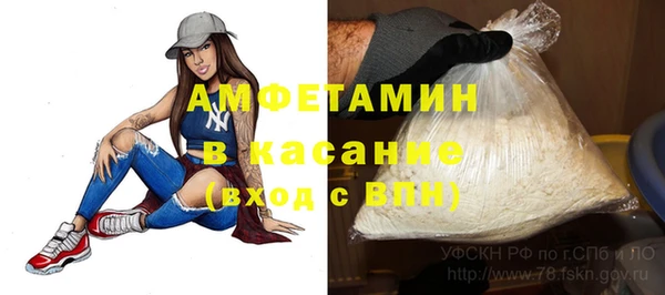 ПСИЛОЦИБИНОВЫЕ ГРИБЫ Вяземский