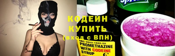 ПСИЛОЦИБИНОВЫЕ ГРИБЫ Вяземский