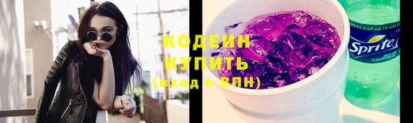 ПСИЛОЦИБИНОВЫЕ ГРИБЫ Вяземский