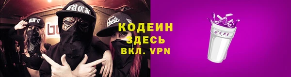 ПСИЛОЦИБИНОВЫЕ ГРИБЫ Вяземский