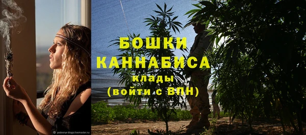 ПСИЛОЦИБИНОВЫЕ ГРИБЫ Вяземский
