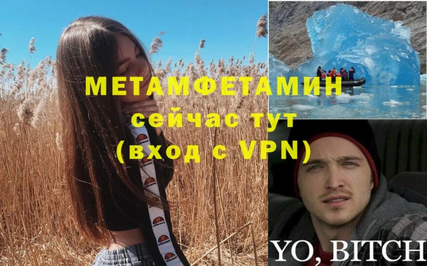 ПСИЛОЦИБИНОВЫЕ ГРИБЫ Вяземский