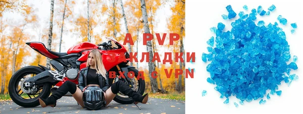 ПСИЛОЦИБИНОВЫЕ ГРИБЫ Вяземский