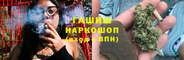 ПСИЛОЦИБИНОВЫЕ ГРИБЫ Вяземский