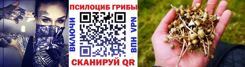 Галлюциногенные грибы прущие грибы  дарнет шоп  blacksprut tor  Жуковский 